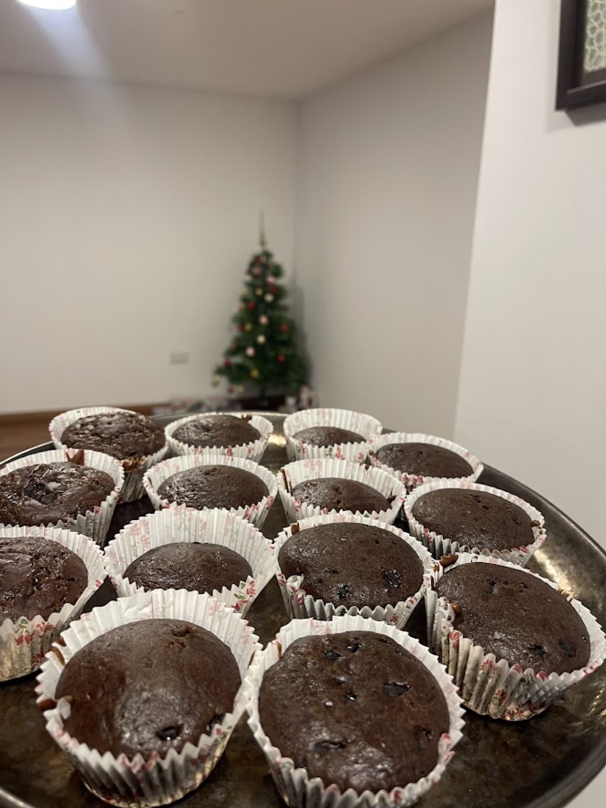 A large tray of chocolate cupcakes in patterned cases, with a Christmas tree in the background
